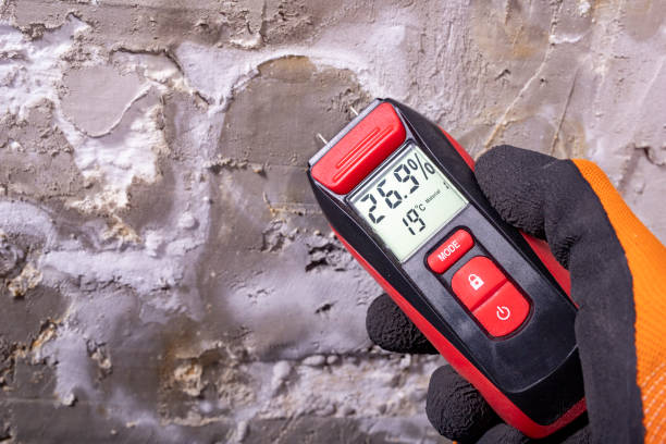 Best Attic Mold Removal  in Hardinsburg, KY