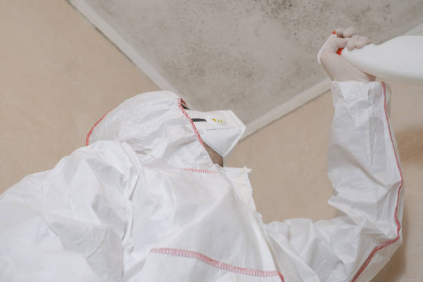 Best Crawl Space Mold Removal  in Hardinsburg, KY